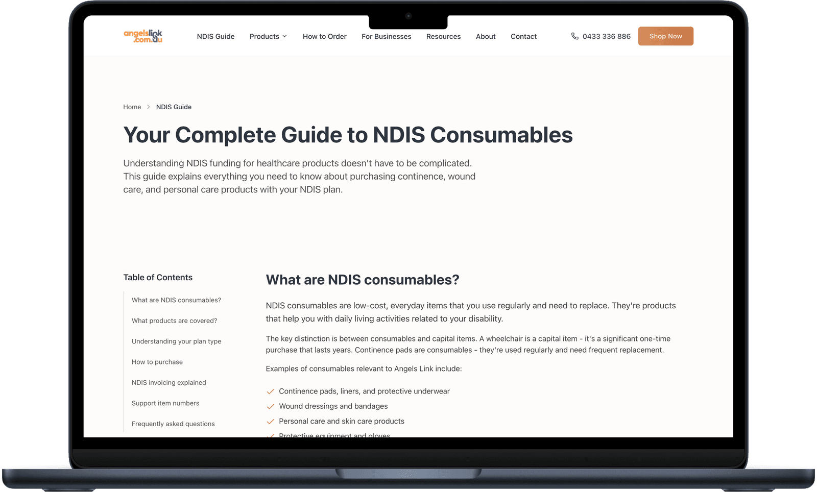 Angels Link NDIS guide page